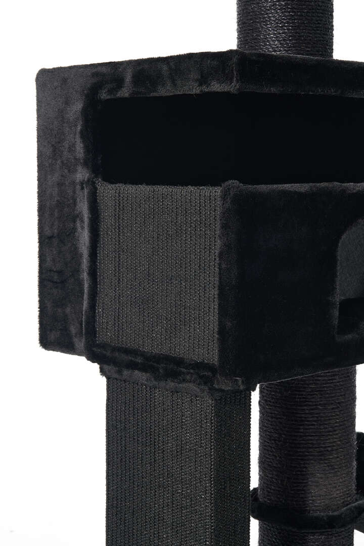 Nobby Kratzbaum Yoan